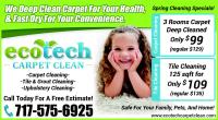 EcoTech Carpet Clean image 7